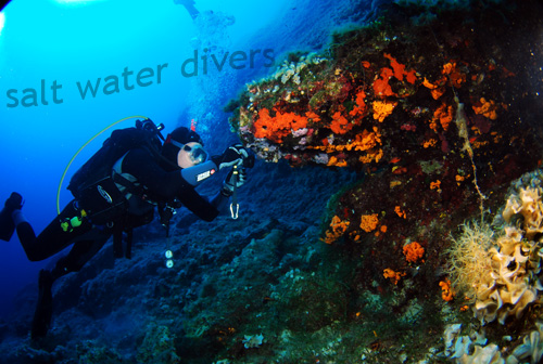Swdivers-syros-02.jpg